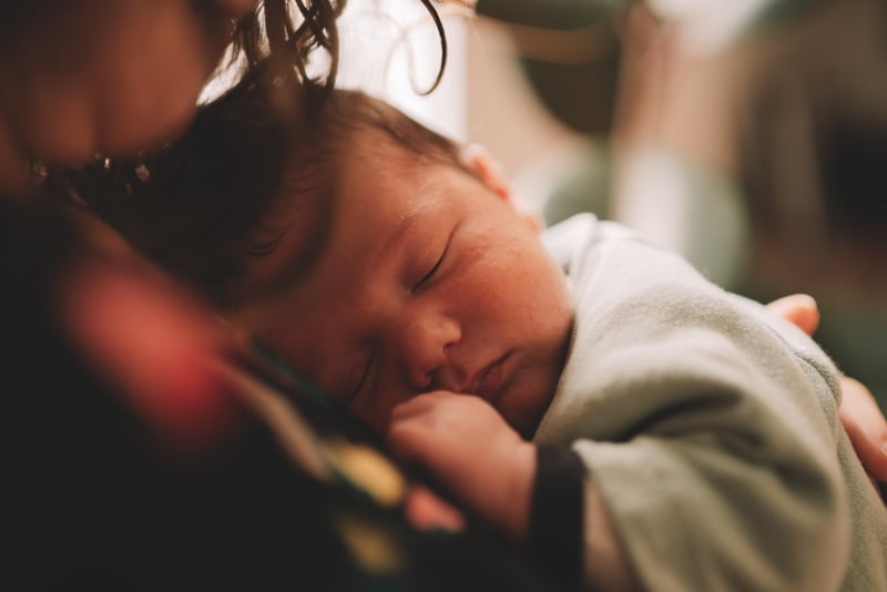 La Galerie Essentielle