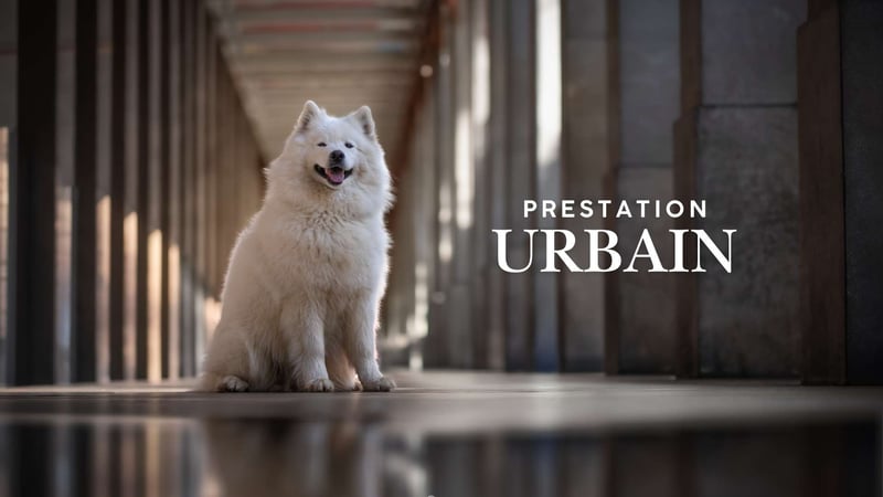 Prestation : Urbain