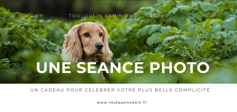 Carte Cadeau