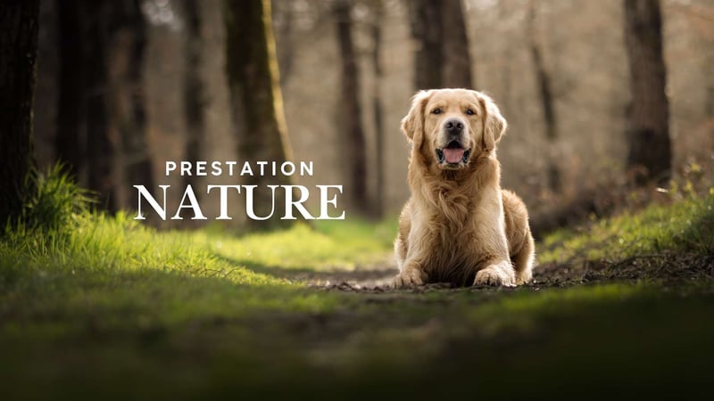 Prestation : Nature