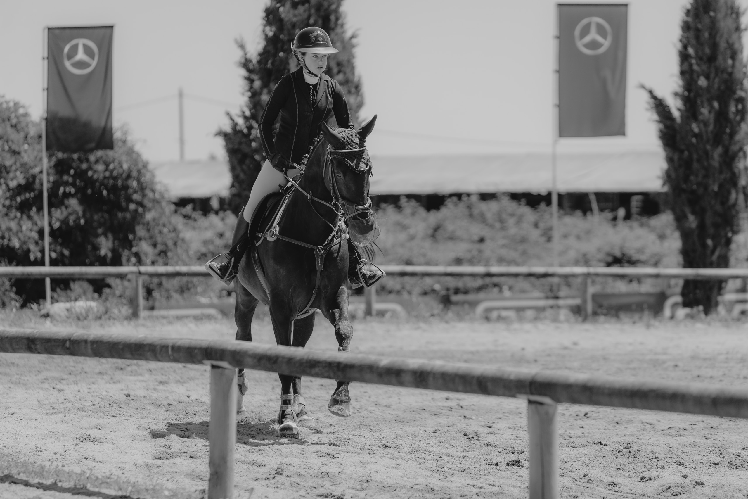 CSO Amateur - Ajaccio Équitation