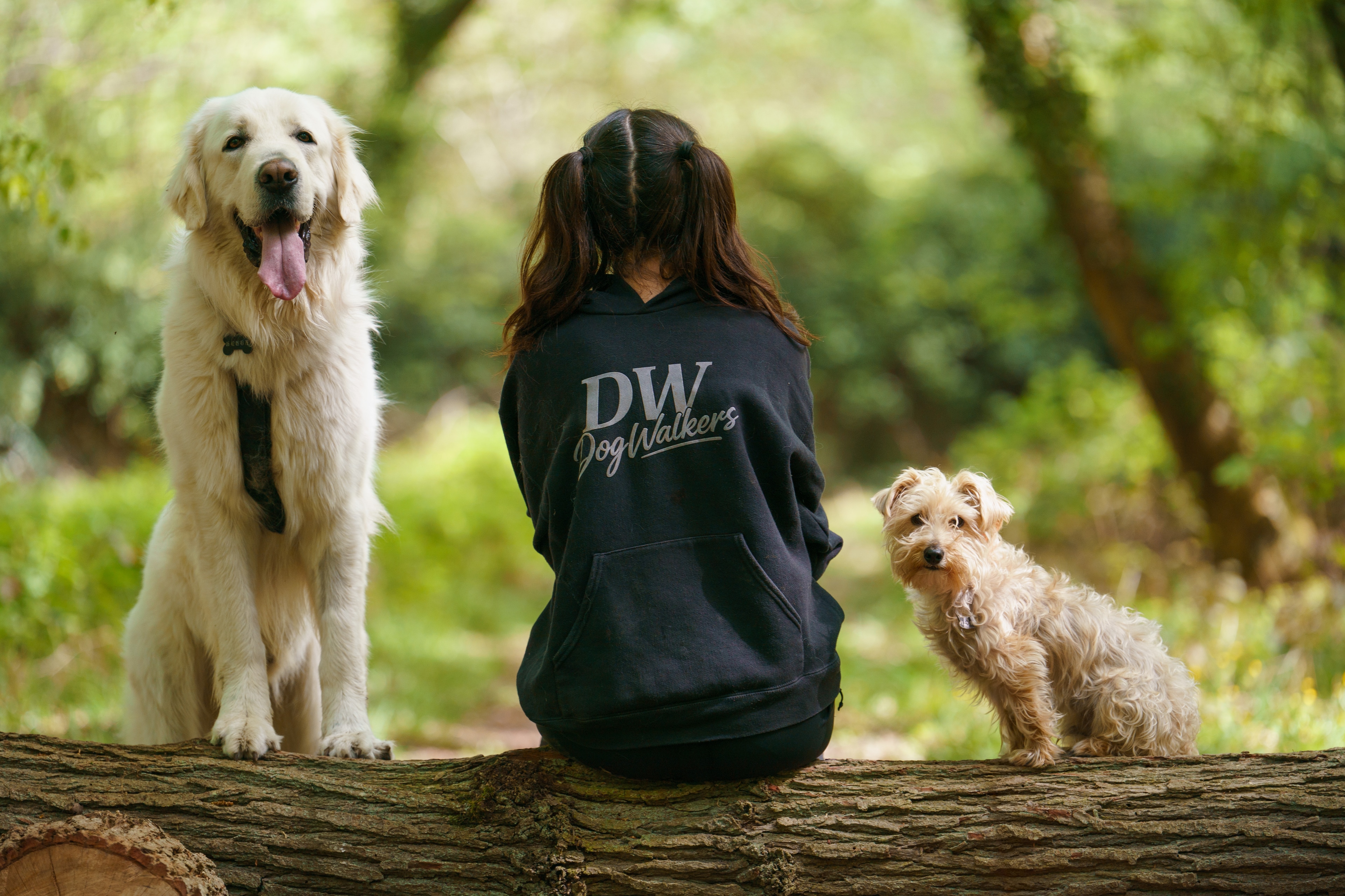 Dog Walkers, Mézières-sur-Seine — Cynofoto