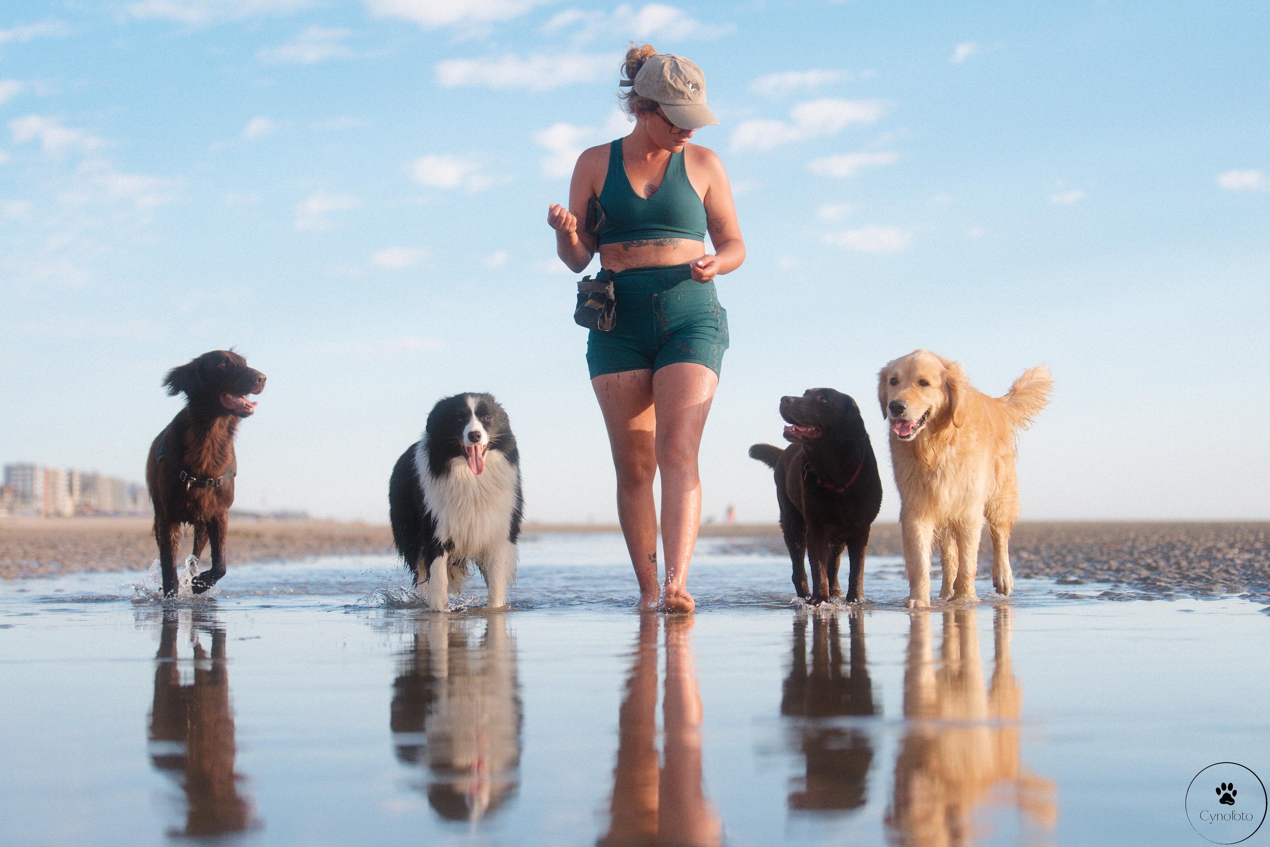 La Conciergerie canine, Colo 2026, Mézières-sur-Seine — Cynofoto