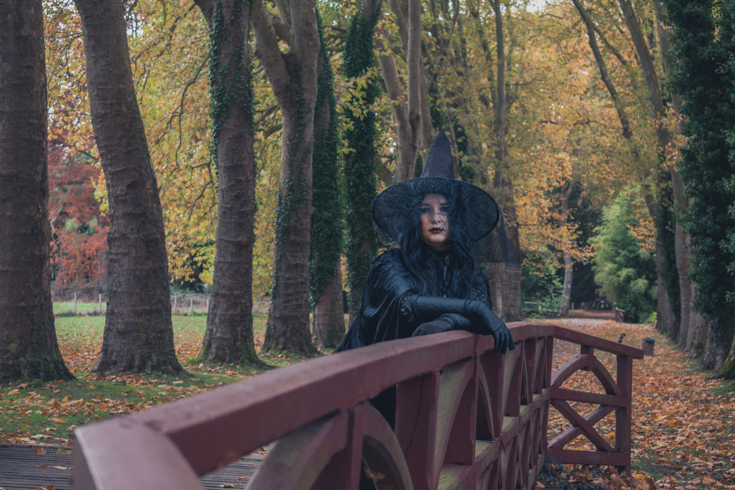 The witch by Abby 