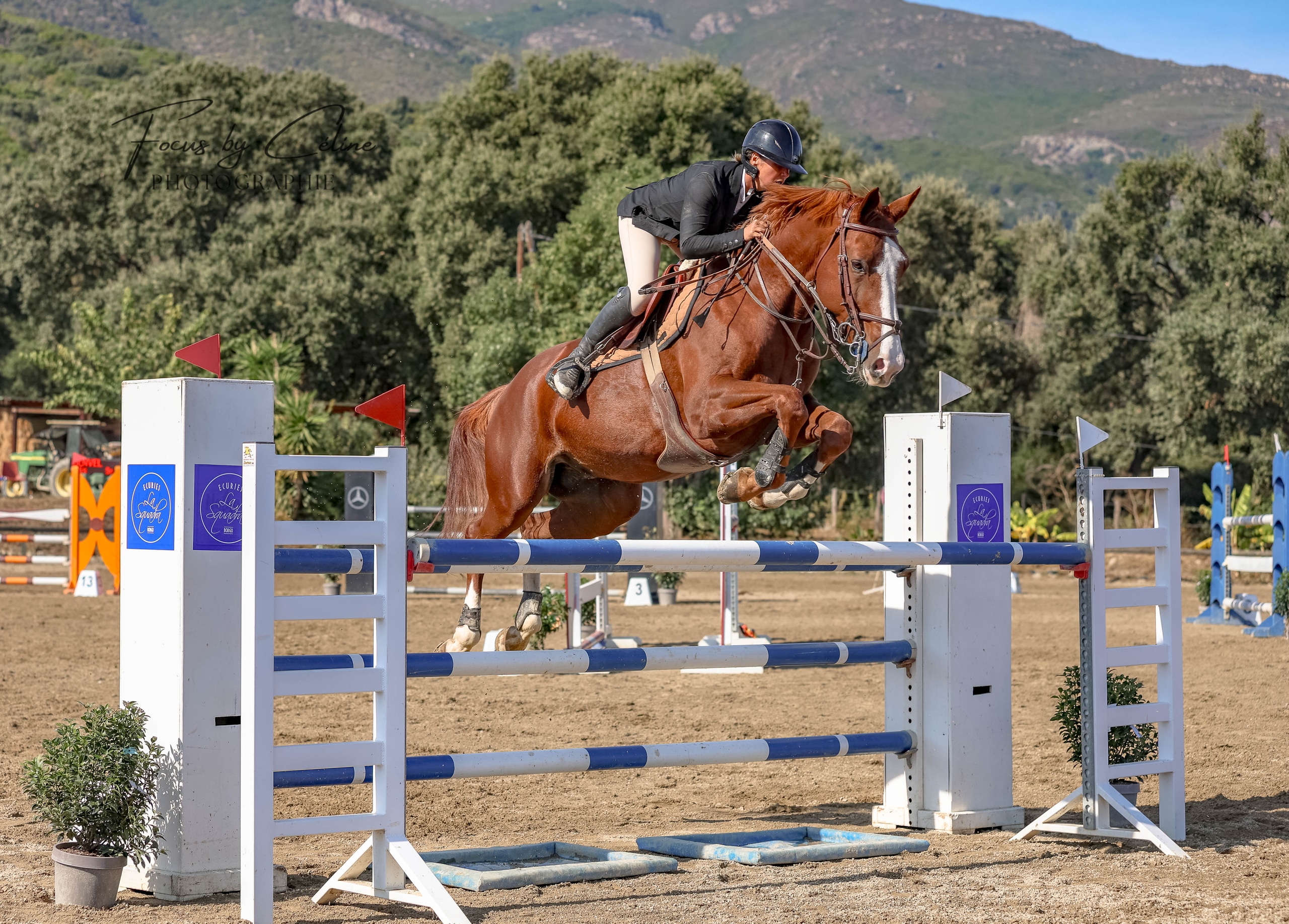 Concours Régional CSO Club - Écurie Laura Benvel