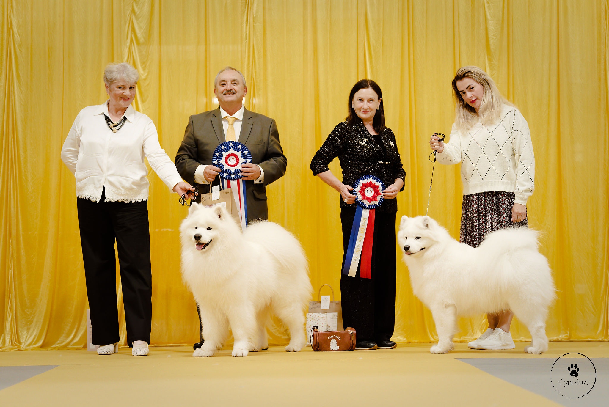 Euro Samoyed France 2026, Mézières-sur-Seine — Cynofoto