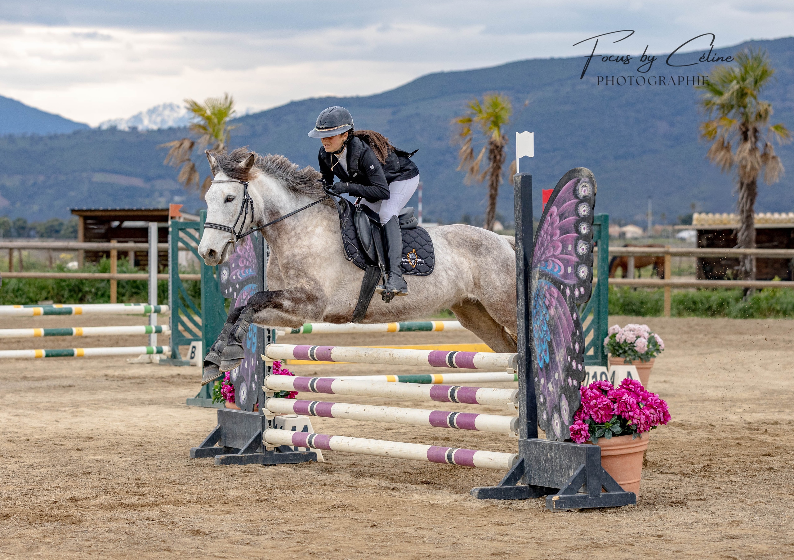 CSO Régional Club - Équicomplice