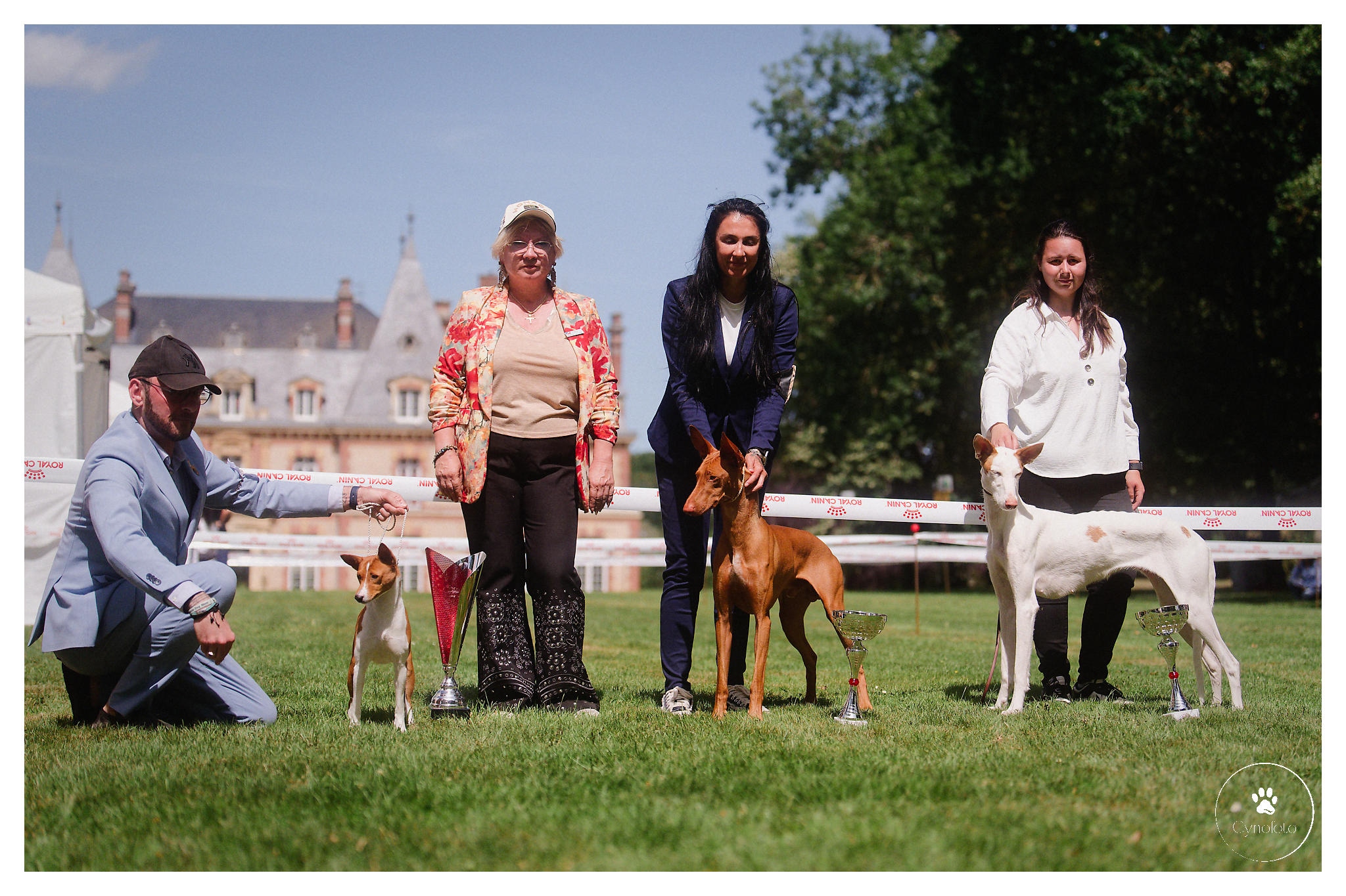 Nationale d'élevage 2026 du Basenji Club de France et PCPP, Mézières-sur-Seine — Cynofoto
