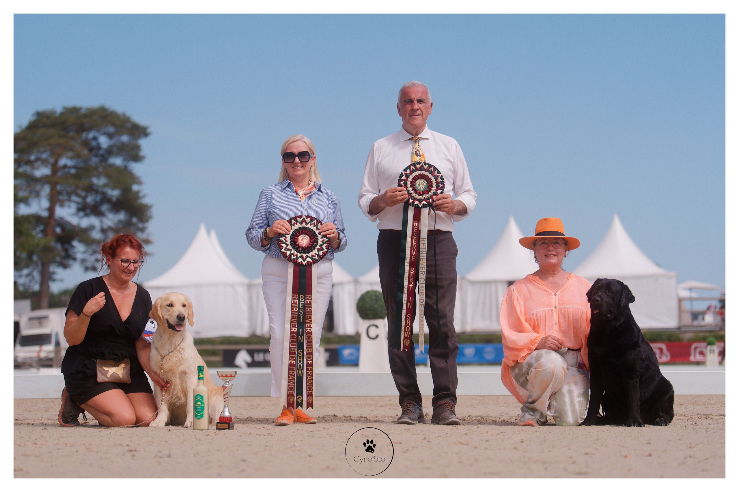 Régionale d'élevage du Retriever Club de France - Fontainebleau 2026, Mézières-sur-Seine — Cynofoto