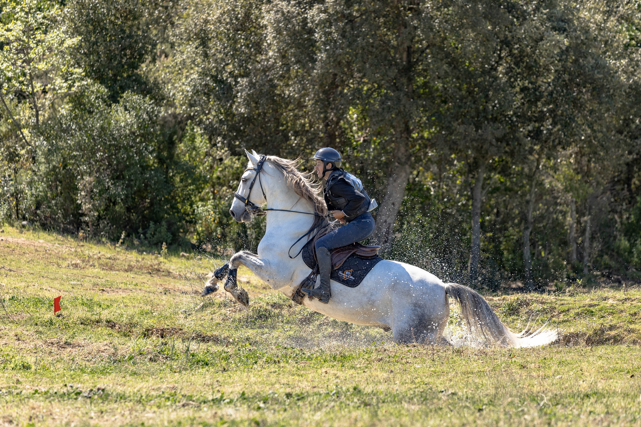 Derby Cross - Cavallu & Co