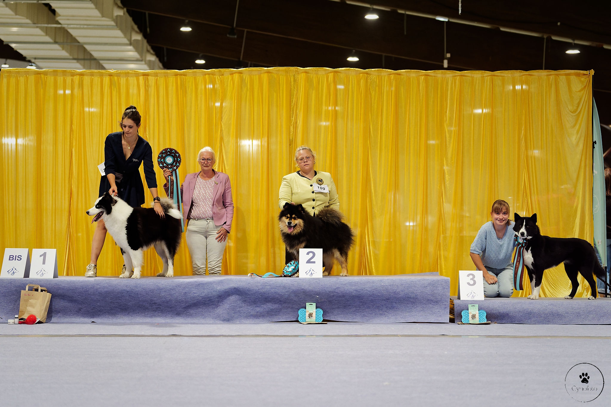 EuroSamoyed, RRE Bourbonnais, World Sled Dog Show, Nationale d'élevage du CFCNSJ 2026, Mézières-sur-Seine — Cynofoto
