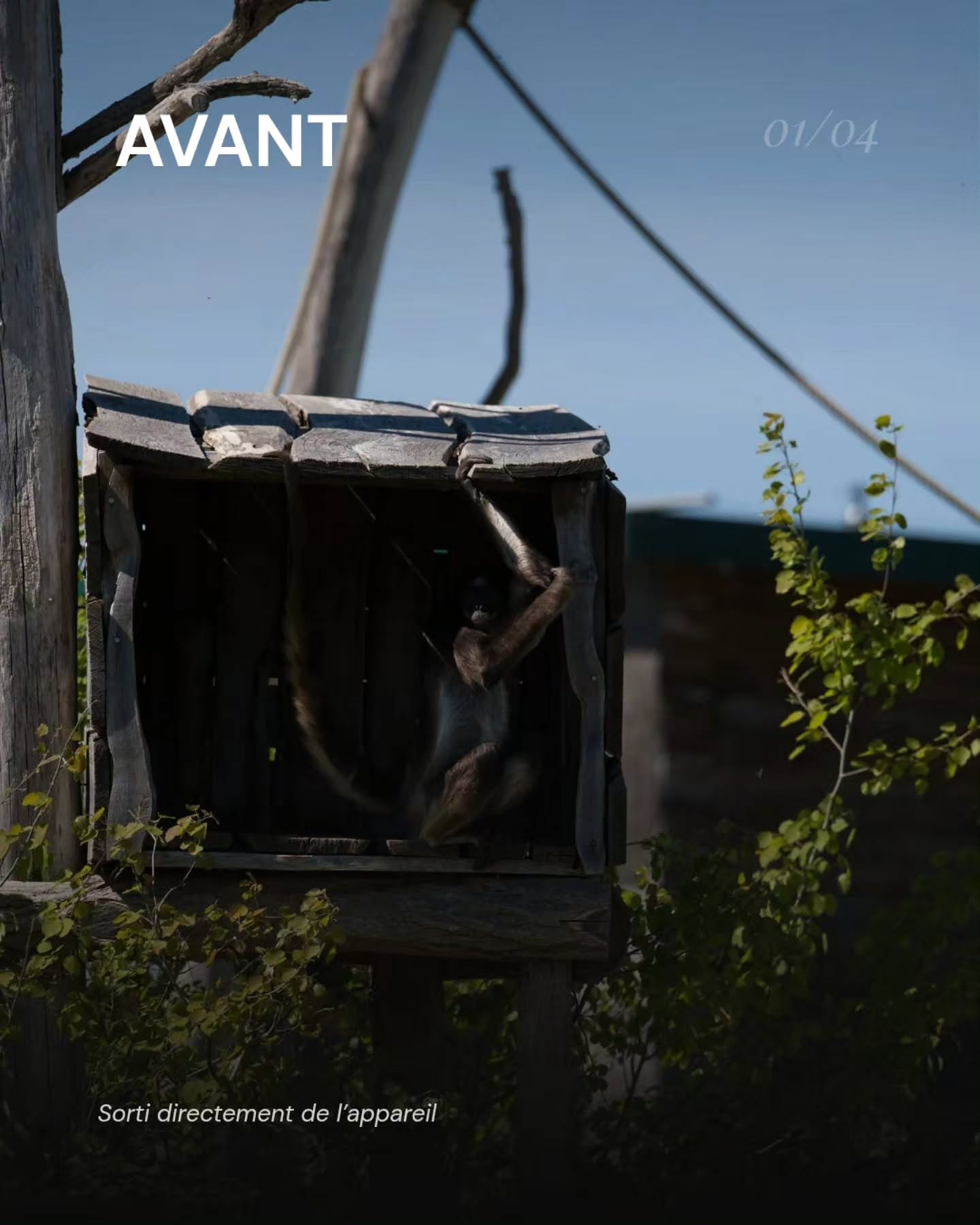 Une photo brute ne raconte rien.
Ce que j'y vois, moi — c'est tout ce qui fait la différence.
Swipe pour voir comment j