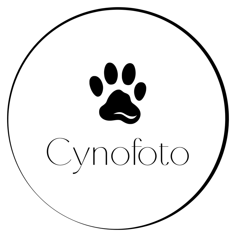 Cynofoto