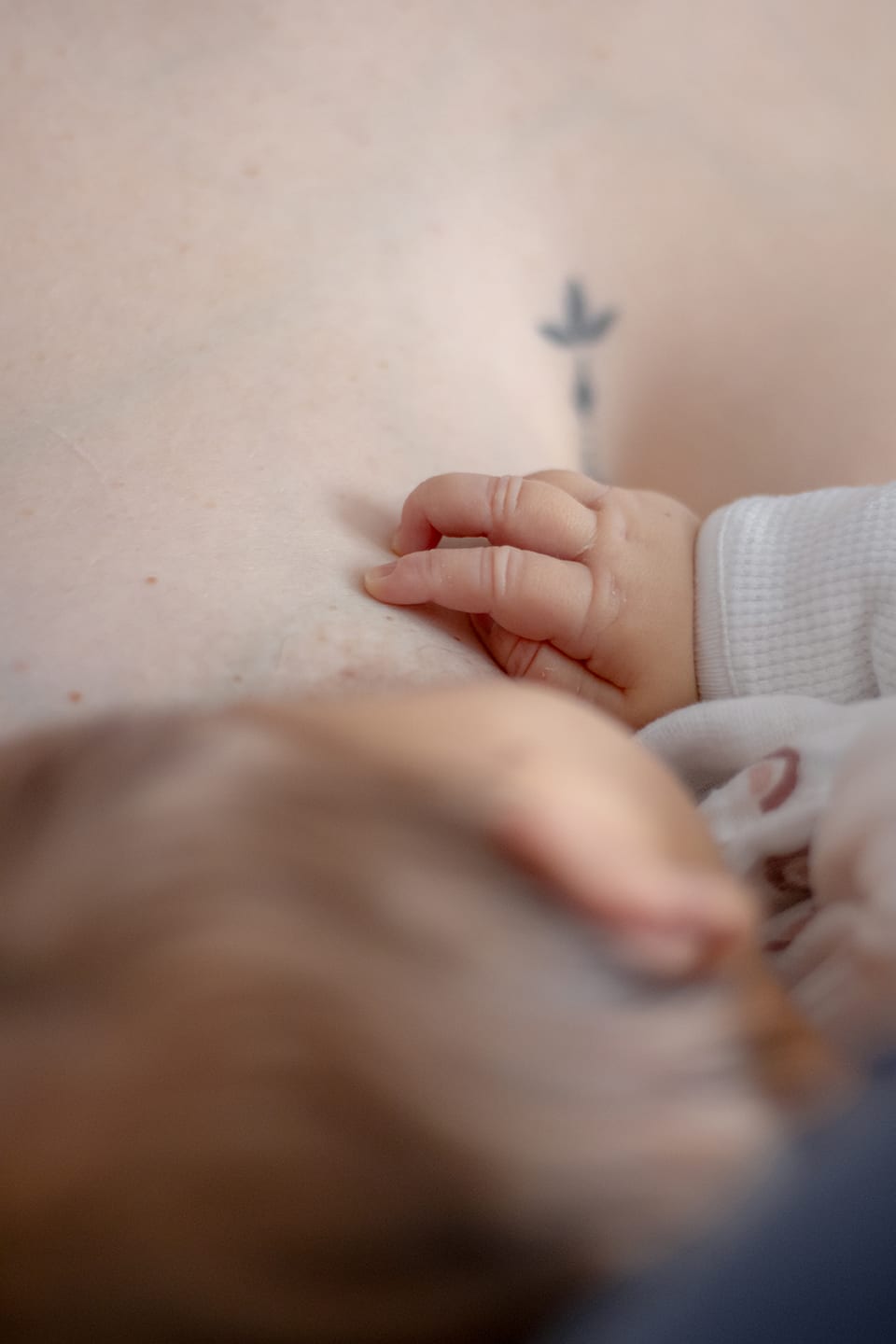 La naissance de votre enfant : un souvenirs intemporel, Crécy-la-Chapelle — Aurelielerat.Photographe