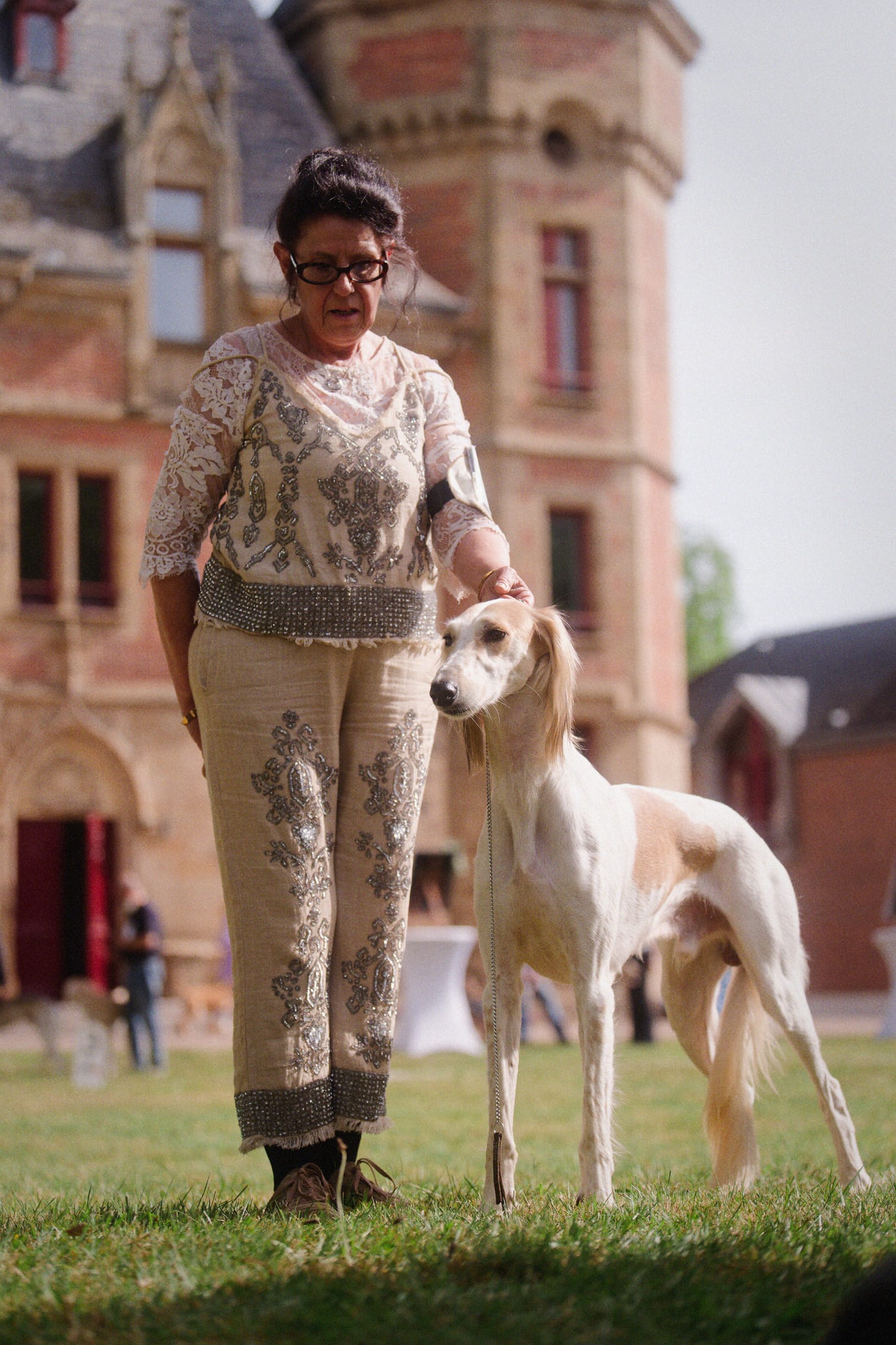 Photographie canine, Mézières-sur-Seine — Cynofoto