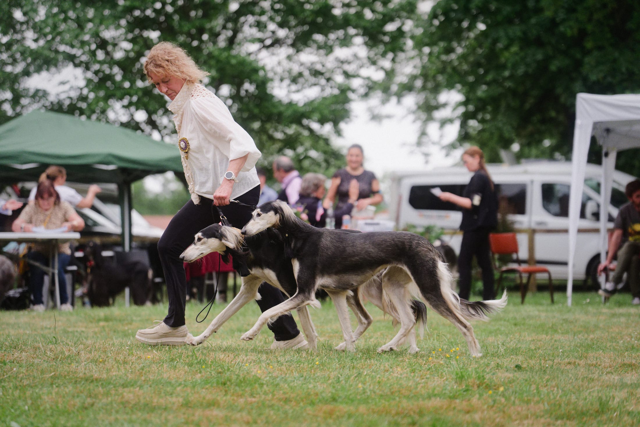 Photographie canine, Mézières-sur-Seine — Cynofoto